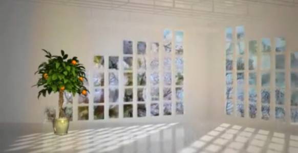 Как укоренить усы клубники. смотреть онлайн