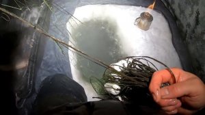 Рыбалка 2022! Проверка сети от FISHING PRO! Закрытие Сезона 2021!