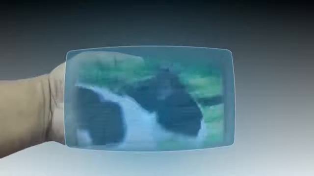 Мобильник в кольце!