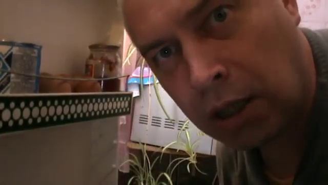 Что вы делаете в моём холодильник лучше видео приколы 2018-2019 года смотреть онлайн