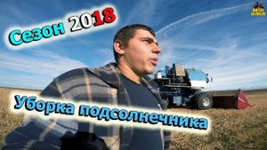 Уборка подсолнечника 2018