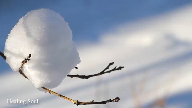 Расслабляющая музыка, исцеляющая от стресса и депрессивных состояний, исцеляет разум #11