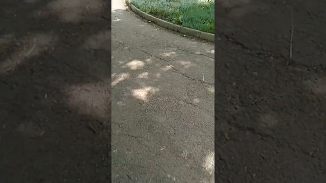 ПАРК Молодогвардейск