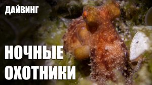 Ночные охотники