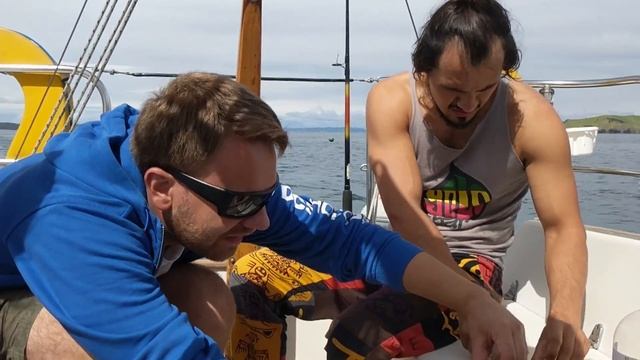 Жизнь в Новой Зеландии. Круиз на остров Ракино и Продуктивная РЫБАЛКА смотреть онлайн