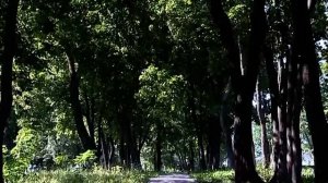 Галина Реброва — стихи о городе