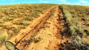 Астраханская степь-пустыня на скутере Honda Dio 34-35