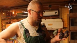 Австралийская голубая квакша:  содержание и уход.