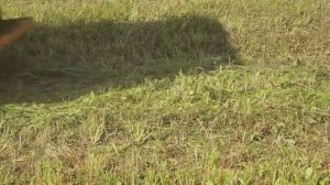 Пресс подборщик  RB12 обвязка сетка и шпагат