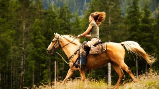 Тушда От курса нима булади Туш табири смотреть онлайн