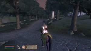 Let's Play The Elder Scrolls IV Oblivion Mystic Elf w/ Arrancar #24 Killer Maid