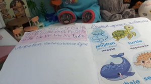 Обзор школьных вещей басиков: тетради, учебники и поделки
