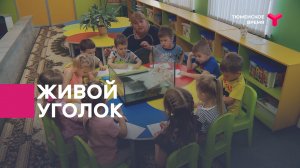 Живой уголок в детском саду № 172