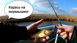 Голодные и дерзкие караси февраля, вот он рабочий мотыль!?.mp4