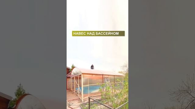 Навес из поликарбоната 7*6 со стенами из сотового поликарбоната для бассейна от «Спецкаркас» смотреть онлайн