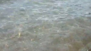 КУРОРТ БОРОВОЕ ОЗЕРО ЩУЧЬЕ 2017год