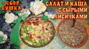 Салат и каша с СЫРЫМИ ЛИСИЧКАМИ + сбор, сушка