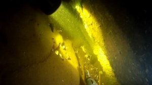 Когда много налима, а взять нечего. Отчет о подводной охоте 10.10.2021 на реке Волга