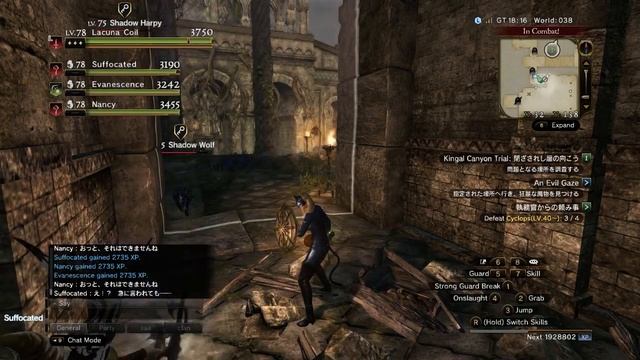 Премию Эмми в категории "Лучший красный забор" получает Dragon's Dogma Online