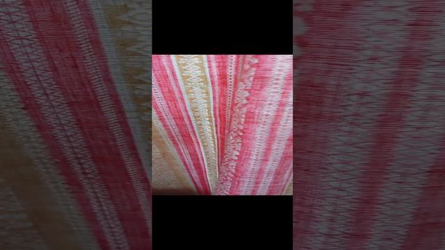 шотландская вислоухая кошка мяукает