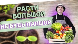 Стеллаж для рассады