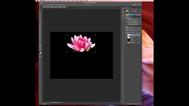 How to Create Reflections in Photoshop - By Anna Buys смотреть онлайн
