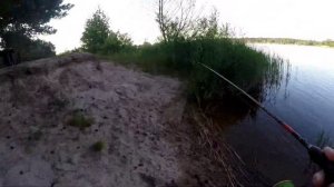МИКРОДЖИГОВАЯ ловля хищника на реке. Трудовая рыбалка на хищника! Микроджиг 2021