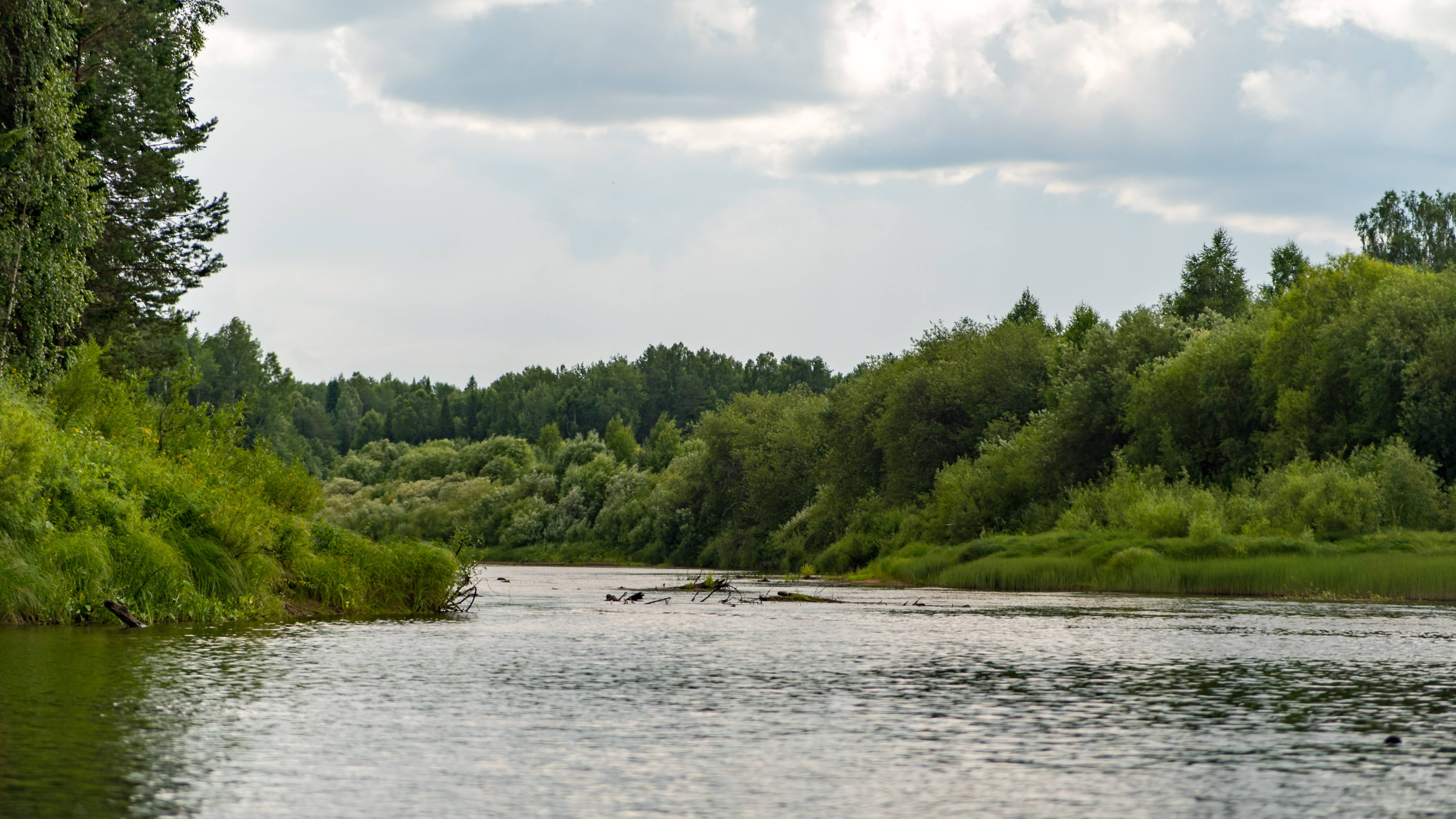 Река Летка под водой | Видео под музыку | Июль 2024
