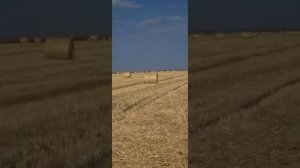 Пресс-подборщик Claas Variant 280 | Отзыв покупателя