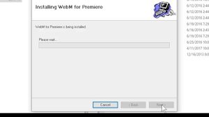 WebM Codec | Downloading and Installing for Premiere and Wordpress