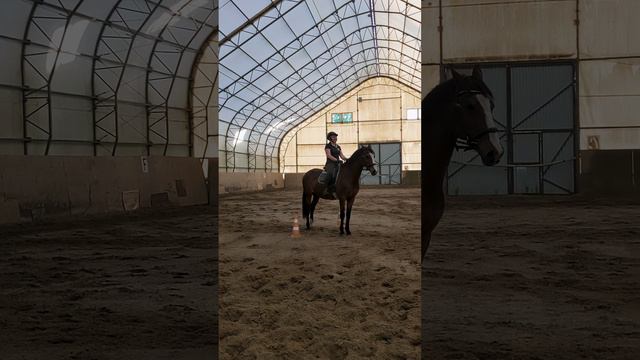 Римма и Джуник. Поделаем упражнения