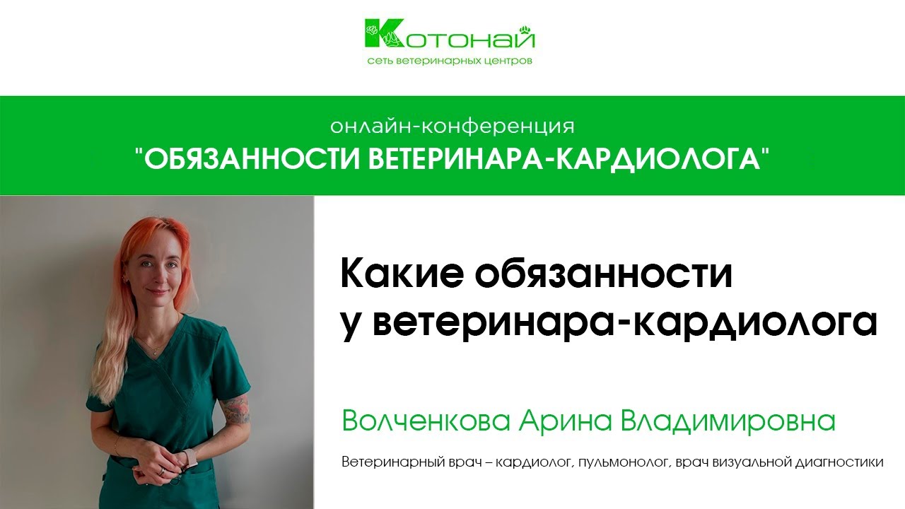 Какие обязанности у ветеринара кардиолога | Волченкова Арина Владимировна