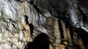 Кого мы увидели в пещере? / Новоафонская Пещера в Абхазии