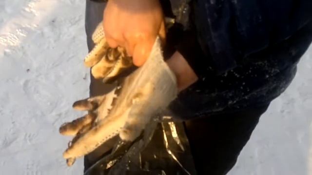 Солотча 2012 ( Рязань ) 3 смотреть онлайн