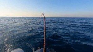 Троллинг симы. Приморский край, Уссурийский залив. 19 мая 2022 г.