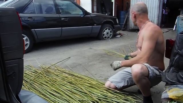 Подготовка лозы к плетению забора смотреть онлайн