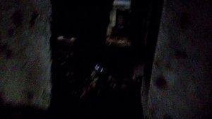 Предновогодняя утренняя тренировка. САО СТРЕЛА