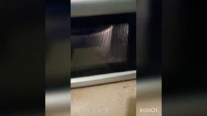 Пропаривание земли в микроволновой печи