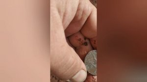 подарок деда Хабара