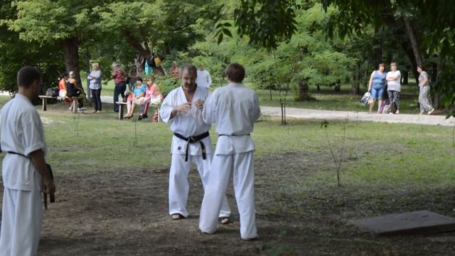 Семинар Киокушинкай каратэ обучение Максимов Виктор Владимирович 4 дан смотреть онлайн