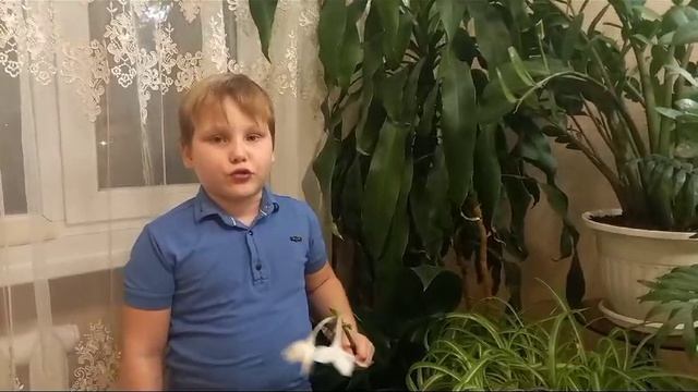 мамочке