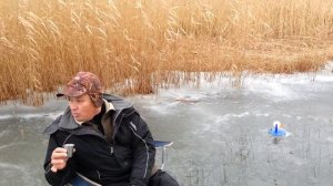 Садки, лиман Бойкиевский!