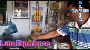 Bayer Product Luna Experience