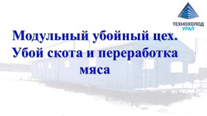 Модульный убойный цех КРС. Убой скота. Переработка мяса
