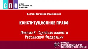 Лекция 8. Судебная власть в Российской Федерации - Конституционное право России