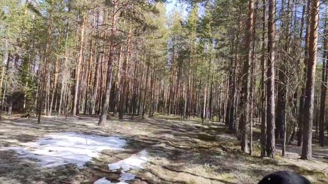 Каракат-переломка по бездорожью. смотреть онлайн