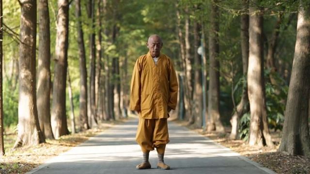ShaoLin Master Of Yi Jin Jing Demonstrate