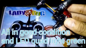 PROBLEM 4 AXIS 3D TUNBLING S6043 LADY BUG RC HELICOPTER