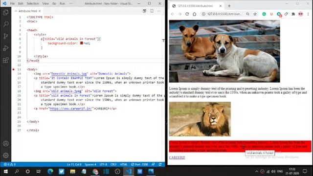 CSS3 attribute selectors . Advance selector css . css tutorial for beginners full.