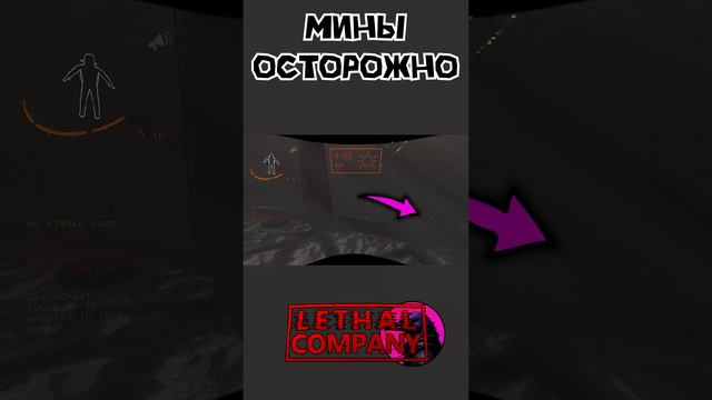 Осторожно Lethal Company